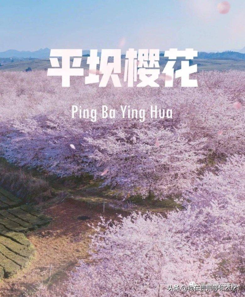 全民剧本大师内置菜单